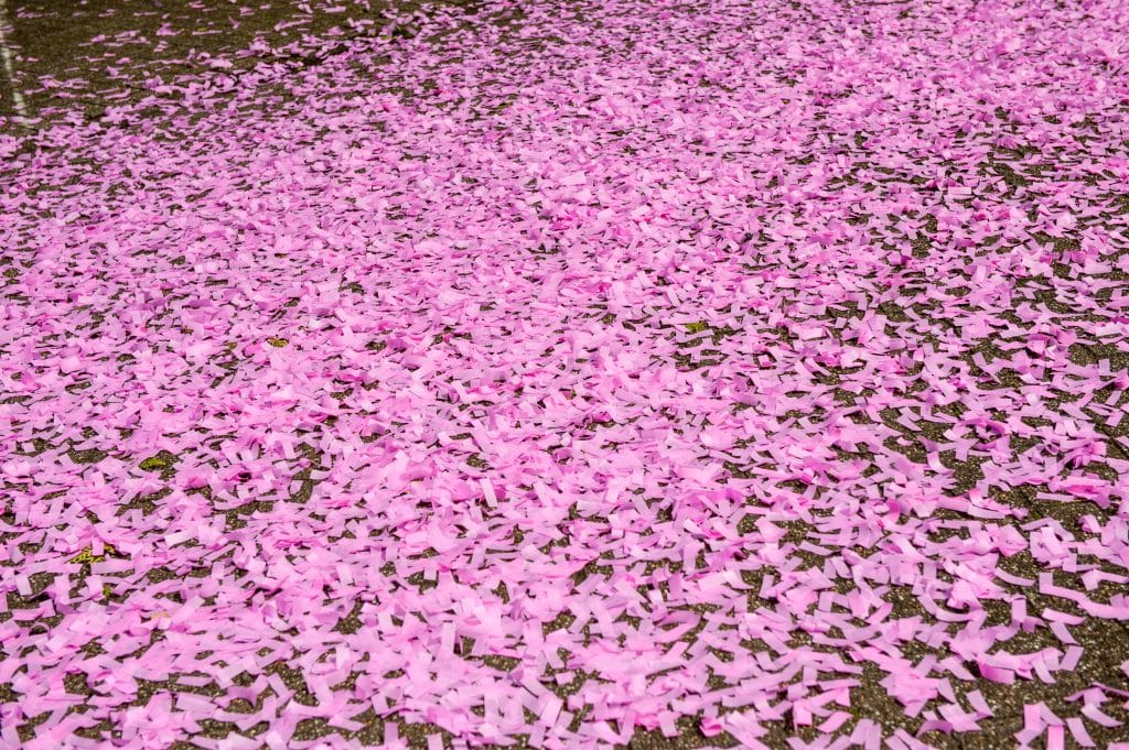 Eine persönliche Gender Reveal: Manons Erfahrungsbericht