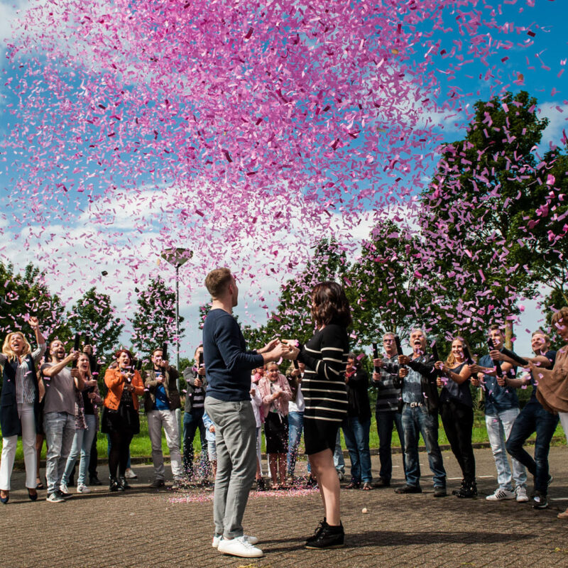 Was ist eine Gender Reveal Party?