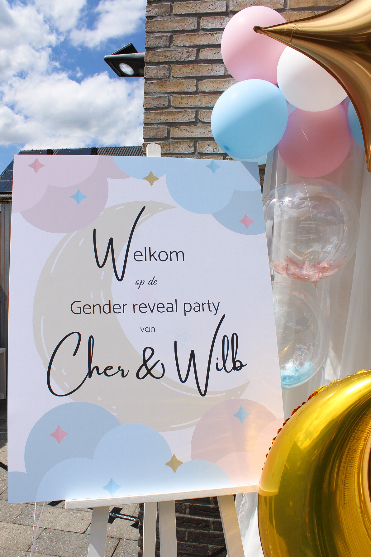 Gender Reveal Styling und Partyplanung